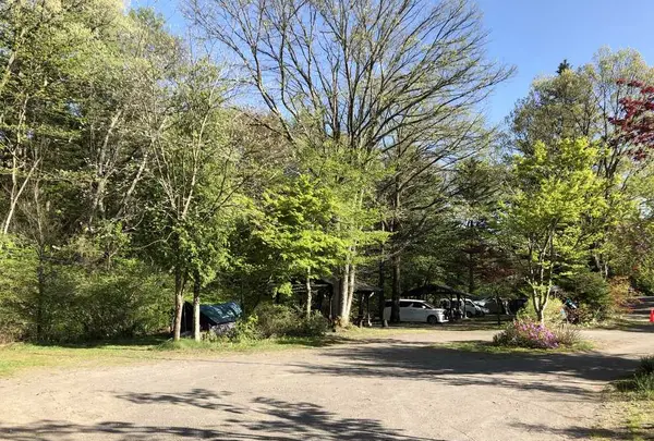 しげの屋の写真・動画_image_318261