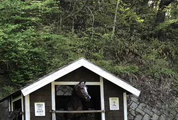 しげの屋の写真・動画_image_318262