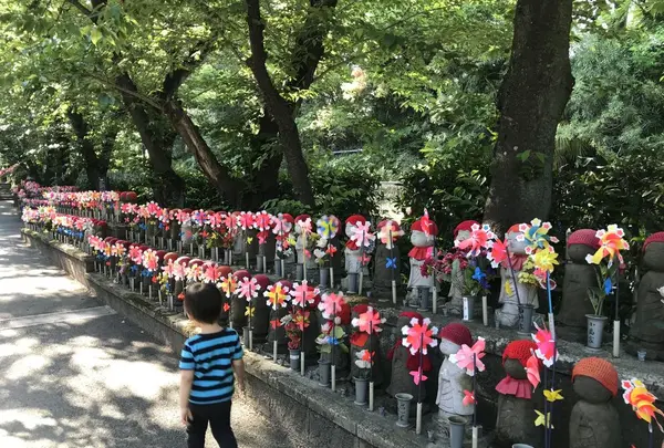 増上寺の写真・動画_image_318293