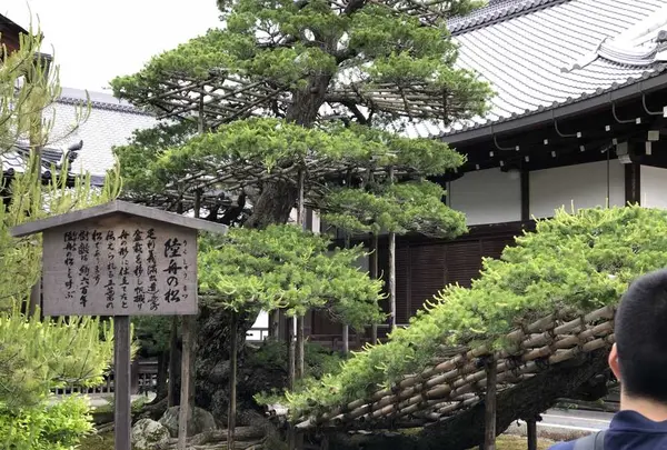 金閣寺（鹿苑寺）の写真・動画_image_318307
