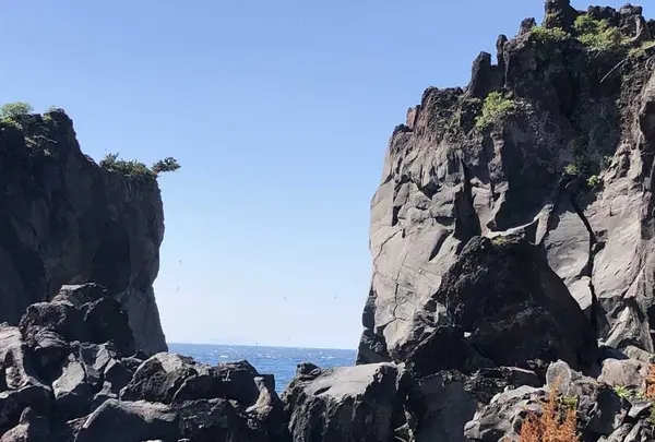 伊豆稲取産金目鯛と源泉かけ流しの宿。旅館はまべ荘の写真・動画_image_318331