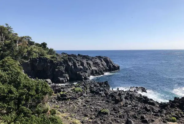 伊豆稲取産金目鯛と源泉かけ流しの宿。旅館はまべ荘の写真・動画_image_318334