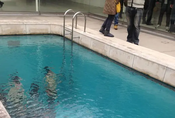 金沢21世紀美術館の写真・動画_image_318420