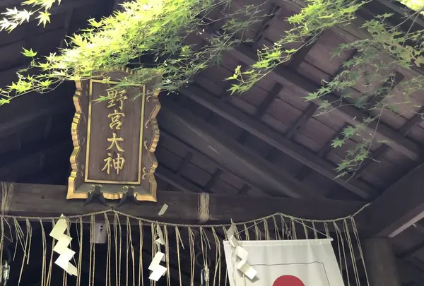 野宮神社の写真・動画_image_318444
