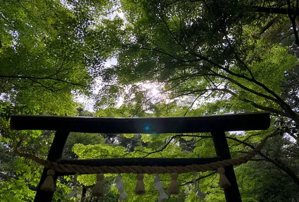 野宮神社の写真・動画_image_318445