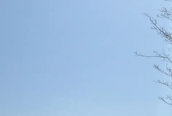 トーマスランドの写真・動画_image_318449