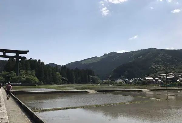 熊野古道大門坂の写真・動画_image_318519