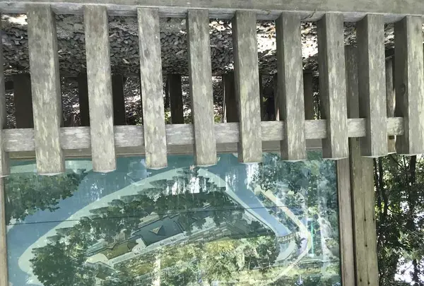 熊野古道大門坂の写真・動画_image_318520