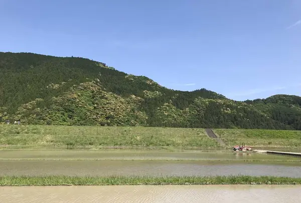 熊野古道大門坂の写真・動画_image_318521