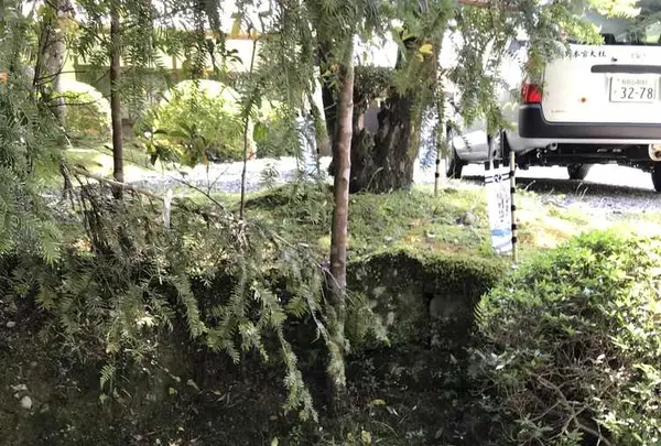 熊野古道大門坂の写真・動画_image_318525