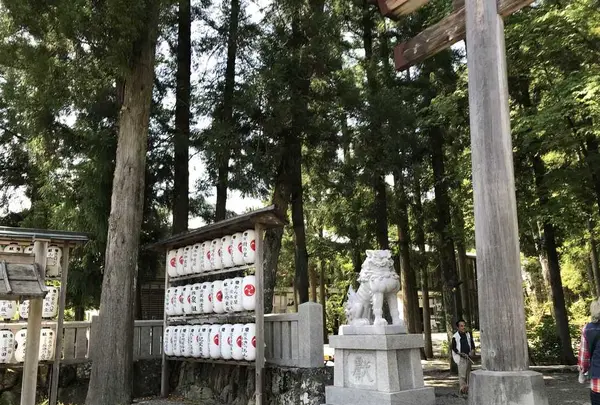 熊野古道大門坂の写真・動画_image_318527