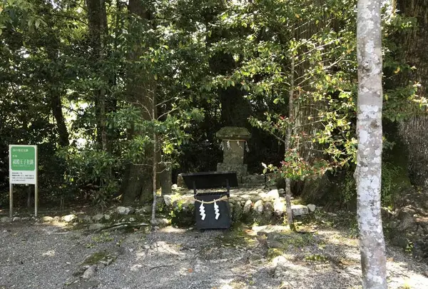 熊野古道大門坂の写真・動画_image_318532