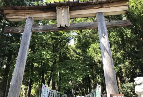 熊野古道大門坂の写真・動画_image_318537