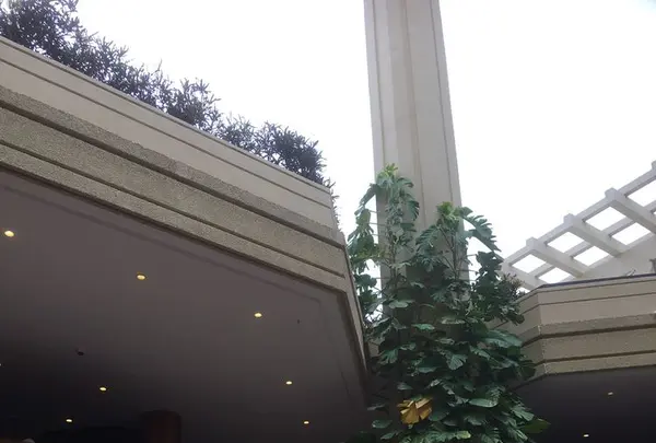 ハイアットリージェンシーワイキキビ-チ リゾート&スパの写真・動画_image_318615