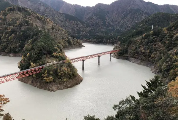 奥大井湖上駅の写真・動画_image_318630