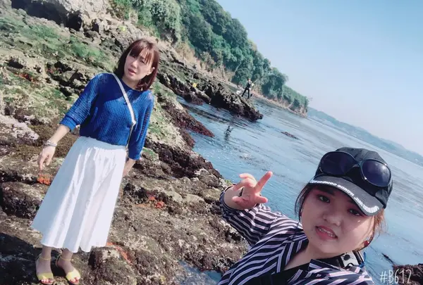 猿島の写真・動画_image_318652