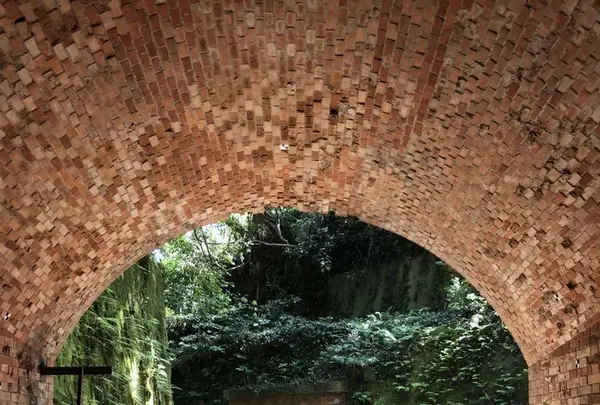 猿島の写真・動画_image_318653