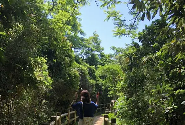 猿島の写真・動画_image_318655