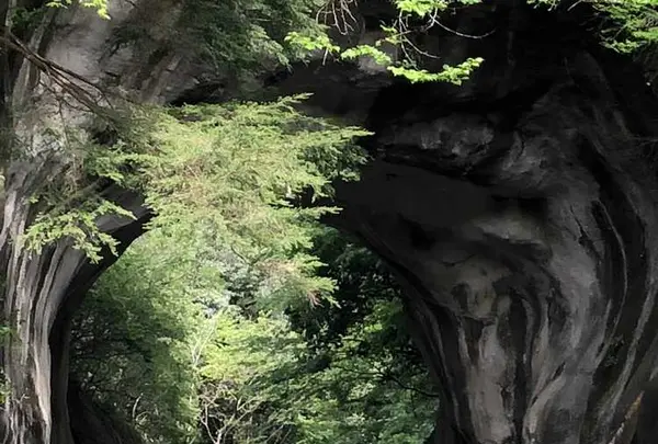 濃溝の滝の写真・動画_image_318657