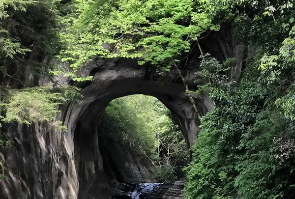 濃溝の滝の写真・動画_image_318659