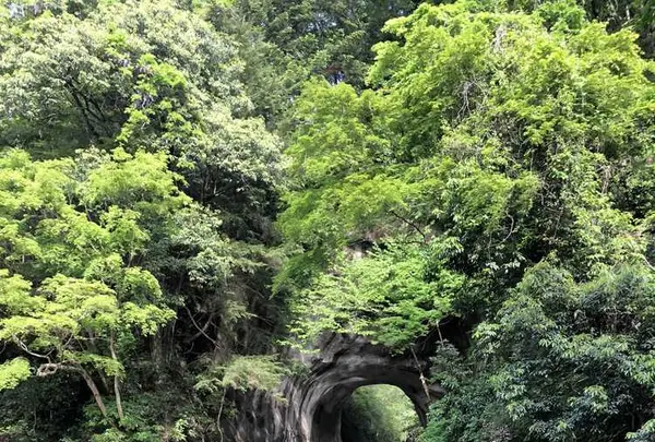 濃溝の滝の写真・動画_image_318667