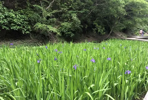 濃溝の滝の写真・動画_image_318668