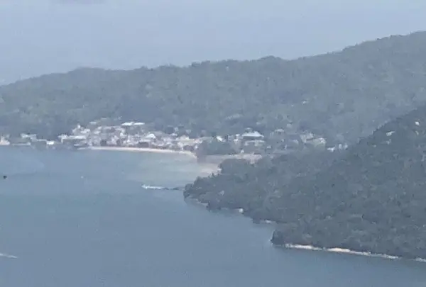 経小屋山森林公園の写真・動画_image_318740