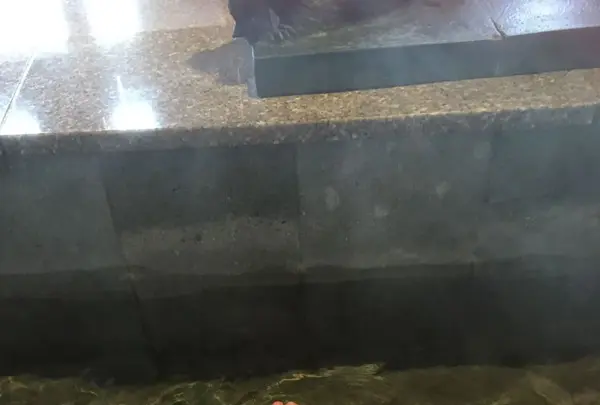 芦原温泉駅の写真・動画_image_318746