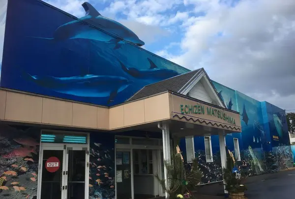 越前松島水族館の写真・動画_image_318753