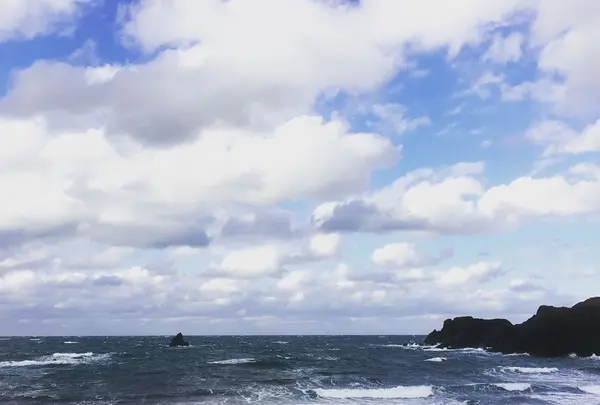 越前松島水族館の写真・動画_image_318754
