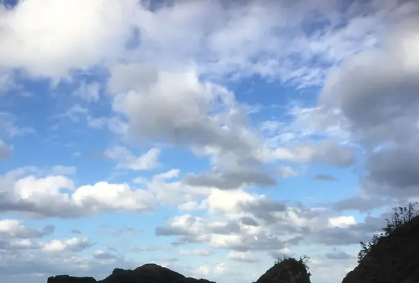 越前松島水族館の写真・動画_image_318755