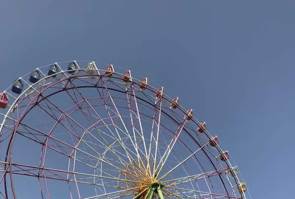 国営ひたち海浜公園の写真・動画_image_318758