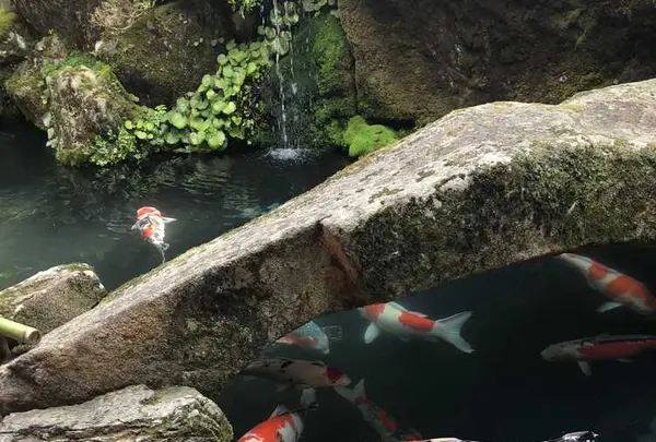 洛匠の写真・動画_image_318765