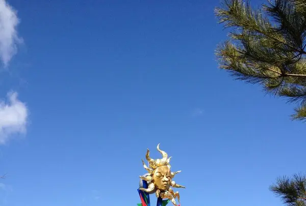 日本モンキーセンターの写真・動画_image_318801