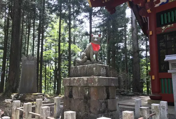 三峯神社の写真・動画_image_318807