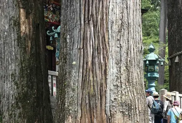 三峯神社の写真・動画_image_318808