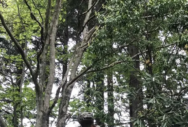 三峯神社の写真・動画_image_318815