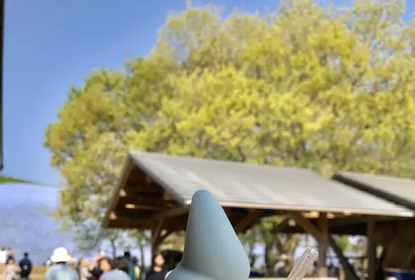 国営ひたち海浜公園の写真・動画_image_318823