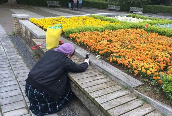 国営ひたち海浜公園の写真・動画_image_318843