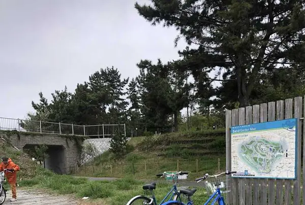国営ひたち海浜公園の写真・動画_image_318846