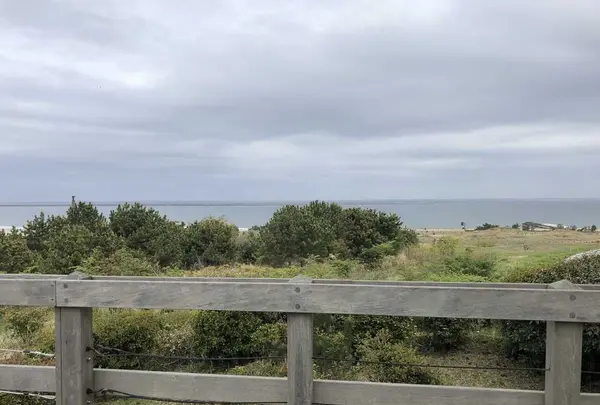 国営ひたち海浜公園の写真・動画_image_318848