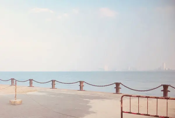 のこのしまアイランドパークの写真・動画_image_318857