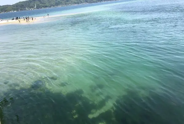日本三景碑 天橋立の写真・動画_image_318879