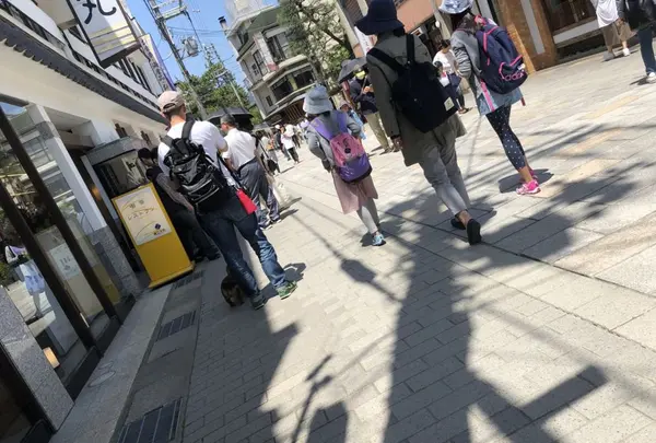 日本三景碑 天橋立の写真・動画_image_318880