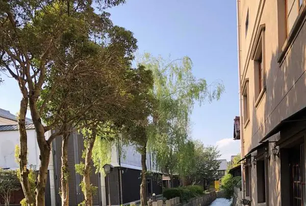 黒壁スクエアの写真・動画_image_318892