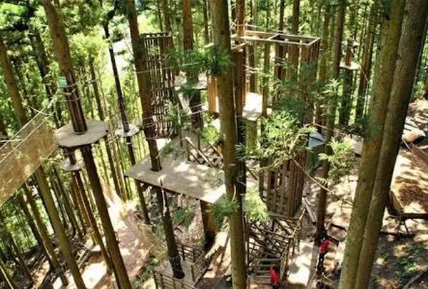 フォレストアドベンチャー・糸島の写真・動画_image_318912