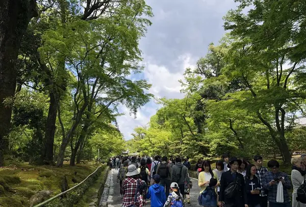 金閣寺（鹿苑寺）の写真・動画_image_318926