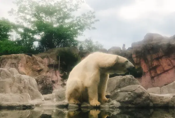 八木山動物公園フジサキの杜の写真・動画_image_319019