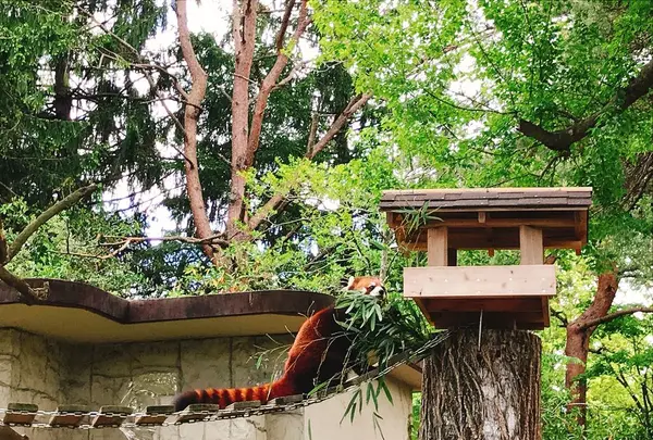 八木山動物公園フジサキの杜の写真・動画_image_319020