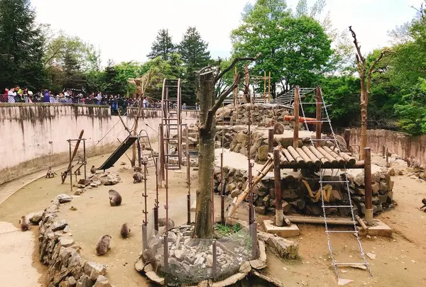 八木山動物公園フジサキの杜の写真・動画_image_319022